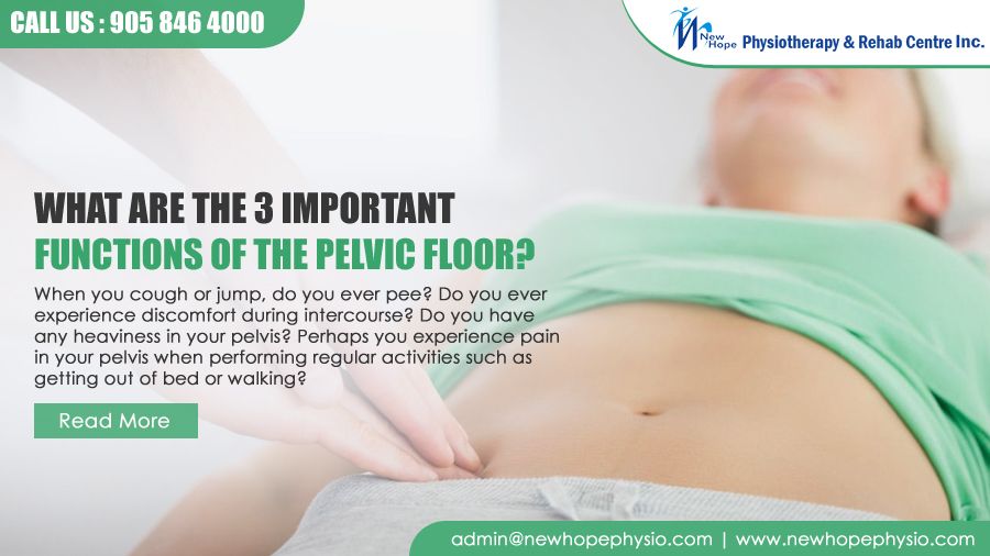 What are the 3 Important Functions of the Pelvic Floor Physiotherapy?