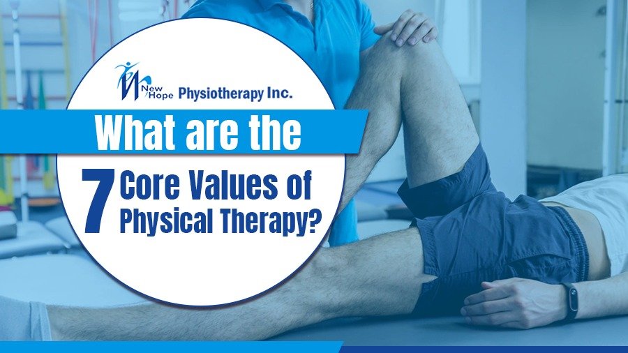What are the 7 Core Values of Physical Therapy? 