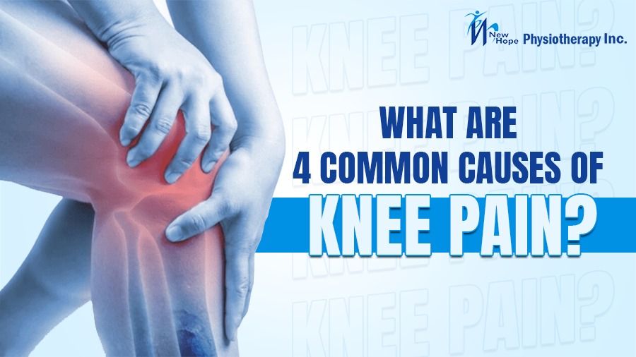 What Are Four Common Causes of Knee Pain? 