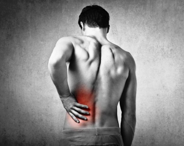 Why Spinal Disc or Degenerative Disc Disease Give Pain Symptoms ?
